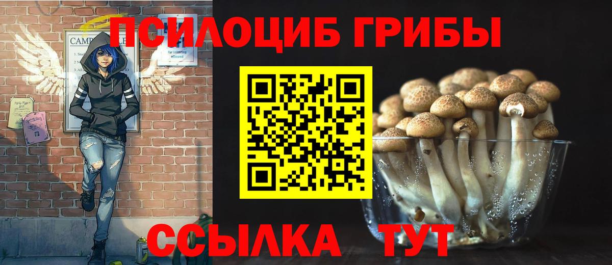 Псилоцибиновые грибы мухоморы Балтийск