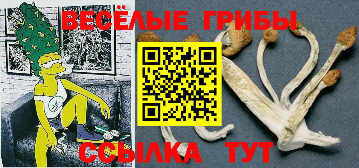 Балтийск  Галлюциногенные грибы ЛСД  Вход с VPN 